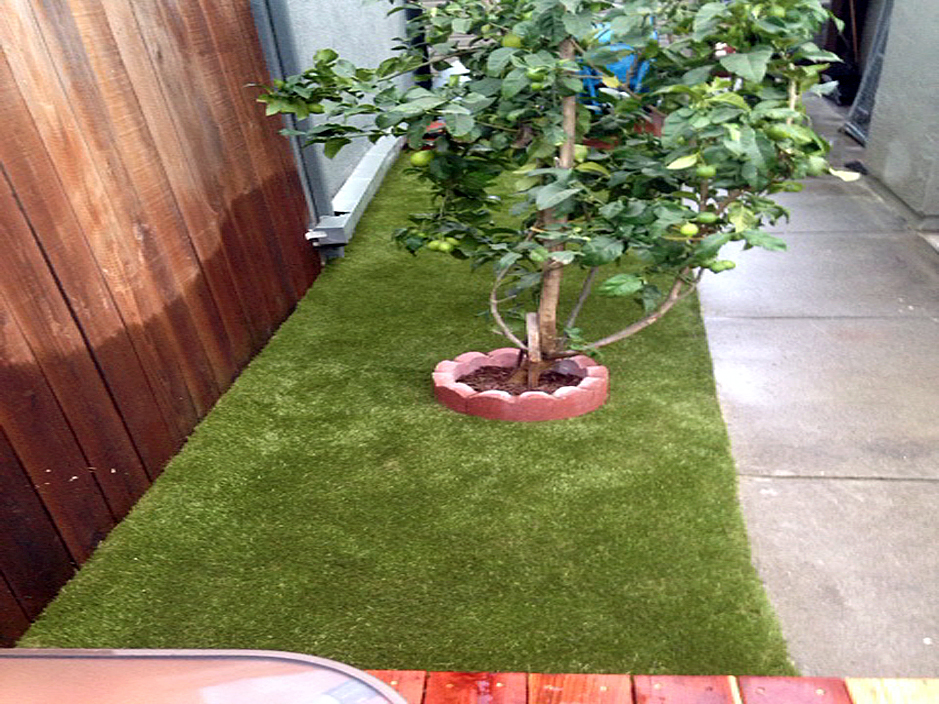 Turf Grass Rincon New Mexico Design Ideas Backyard Ideas