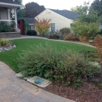 Artificial Grass Arroyo Seco, New Mexico Landscaping Business, Front Yard Landscape Ideas