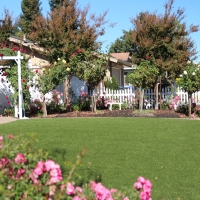 Artificial Grass Carpet Chupadero, New Mexico Lawns, Front Yard Landscape Ideas