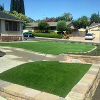 Artificial Lawn Coyote, New Mexico Garden Ideas