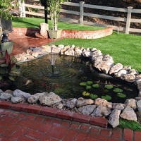 Artificial Turf Arroyo Hondo, New Mexico Lawn And Garden, Backyard Designs