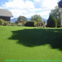 Artificial Turf Cost Rio Rancho, New Mexico Dog Grass, Backyard Landscape Ideas