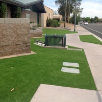 Artificial Turf McIntosh, New Mexico Design Ideas, Front Yard Ideas