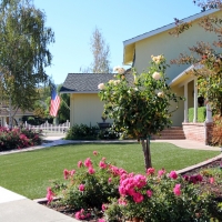 Best Artificial Grass Sedillo, New Mexico Landscape Design, Front Yard Design