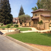 Fake Grass Carpet Canova, New Mexico Landscaping Business, Small Front Yard Landscaping