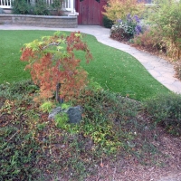 Fake Grass Carpet Luis Lopez, New Mexico Garden Ideas, Front Yard Design