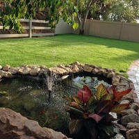 Fake Grass Carpet Naschitti, New Mexico Landscaping Business, Backyard Designs