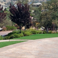 Fake Lawn Madrone, New Mexico Roof Top, Front Yard Ideas