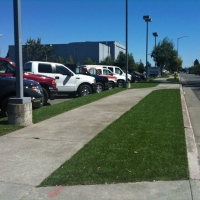 Fake Turf Cerrillos, New Mexico Landscaping Business, Commercial Landscape