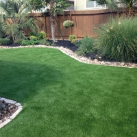 Fake Turf Raton, New Mexico Pet Turf, Backyard Landscaping Ideas