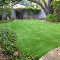 Faux Grass Black Rock, New Mexico Garden Ideas, Backyard