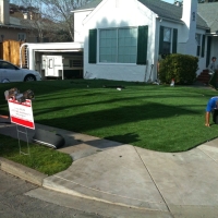 Faux Grass Torreon, New Mexico Lawns, Front Yard Ideas