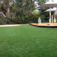 Grass Carpet Floyd, New Mexico Kids Indoor Playground