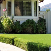 Grass Carpet Jemez Springs, New Mexico Landscaping Business, Front Yard