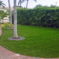 Grass Carpet Quemado, New Mexico Paver Patio, Front Yard Landscaping Ideas