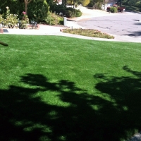 Grass Carpet San Acacia, New Mexico Landscape Photos, Small Front Yard Landscaping