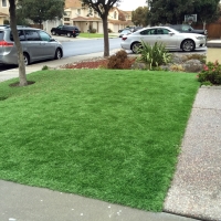 Grass Installation Aragon, New Mexico Landscape Design, Front Yard Ideas