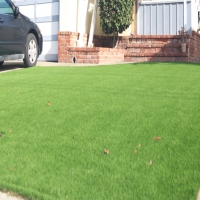 Grass Turf Elephant Butte, New Mexico Backyard Playground, Front Yard Landscaping