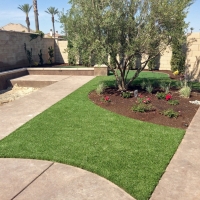 Grass Turf Grants, New Mexico City Landscape, Front Yard Landscaping