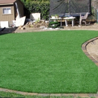 Green Lawn Bent, New Mexico Roof Top, Backyard Makeover