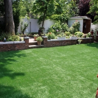 Green Lawn Sheep Springs, New Mexico Roof Top, Backyard Landscaping