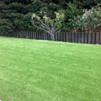 Installing Artificial Grass Canon, New Mexico Landscape Photos, Backyard Design