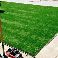 Outdoor Carpet Folsom, New Mexico Lawn And Garden