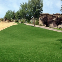 Outdoor Carpet Tecolote, New Mexico Landscape Photos, Front Yard Design