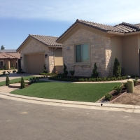 Plastic Grass Ponderosa, New Mexico Landscape Design, Landscaping Ideas For Front Yard