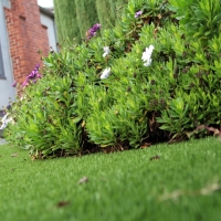 Plastic Grass Questa, New Mexico City Landscape, Landscaping Ideas For Front Yard