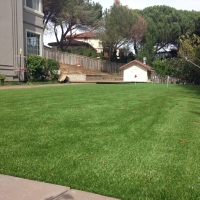 Synthetic Grass Santa Ana Pueblo, New Mexico City Landscape, Backyard