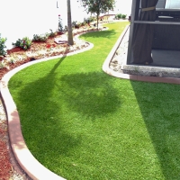 Synthetic Turf Bloomfield, New Mexico Design Ideas, Backyards