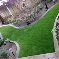 Synthetic Turf San Jon, New Mexico Gardeners, Backyard Ideas