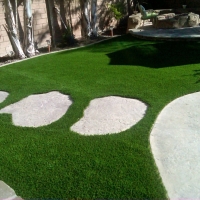 Turf Grass Navajo, New Mexico Landscaping Business, Backyard Landscaping