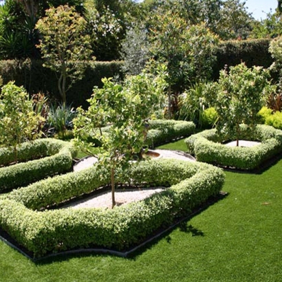 Artificial Grass Carpet Causey, New Mexico City Landscape