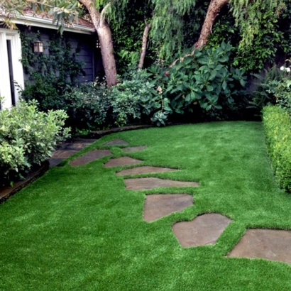 Artificial Grass Carpet Chamisal, New Mexico Lawn And Landscape, Backyard Landscape Ideas