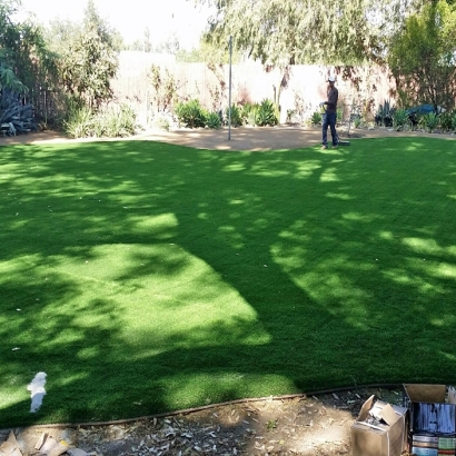 Artificial Grass Carpet South Valley, New Mexico Lawn And Garden, Small Backyard Ideas