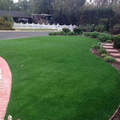 Artificial Grass Carpet Ute Park, New Mexico Design Ideas, Front Yard Landscape Ideas