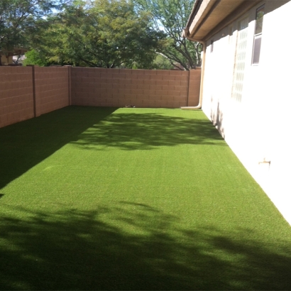 Artificial Grass Carpet Willard, New Mexico Landscape Photos, Backyard Landscaping