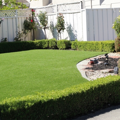 Artificial Grass Cedar Grove, New Mexico Design Ideas, Small Front Yard Landscaping