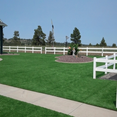 Artificial Grass Garfield, New Mexico Landscape Rock, Backyard Ideas