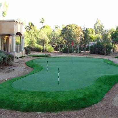 Artificial Grass Ojo Amarillo, New Mexico How To Build A Putting Green, Beautiful Backyards