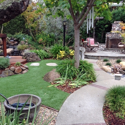 Artificial Grass Pueblo Pintado, New Mexico Lawns, Backyard Garden Ideas