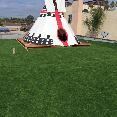 Artificial Grass San Ildefonso Pueblo, New Mexico Landscaping Business, Patio