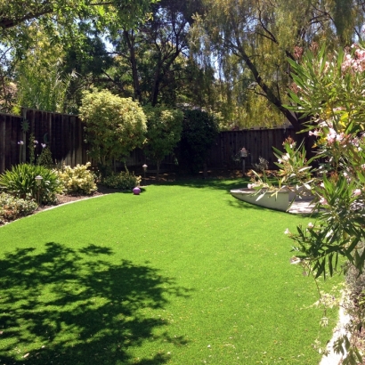 Artificial Grass Torreon, New Mexico Landscaping Business, Backyard Ideas