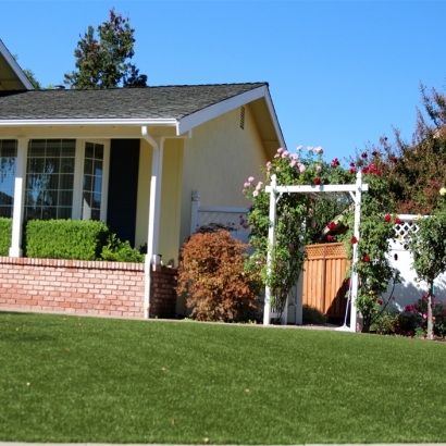 Artificial Lawn Animas, New Mexico Lawns, Small Front Yard Landscaping