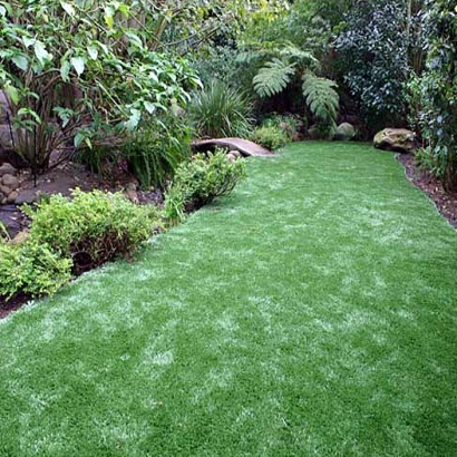 Artificial Lawn Chaparral, New Mexico Landscaping, Backyards