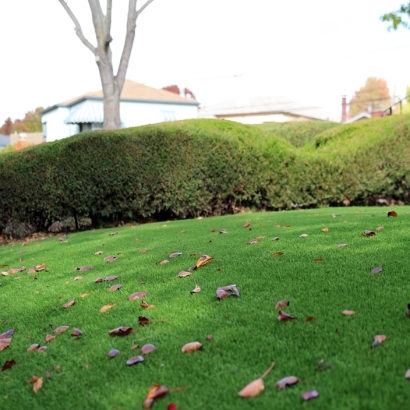 Artificial Lawn San Cristobal, New Mexico Roof Top, Front Yard