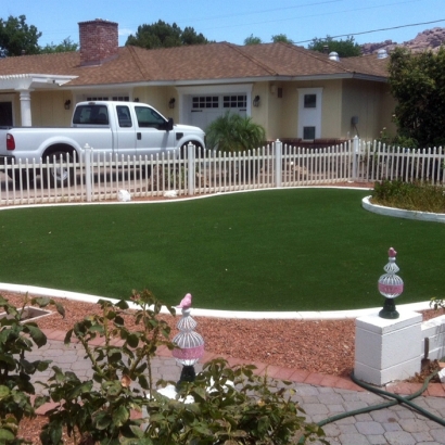 Artificial Lawn San Juan, New Mexico Roof Top, Front Yard Landscaping Ideas