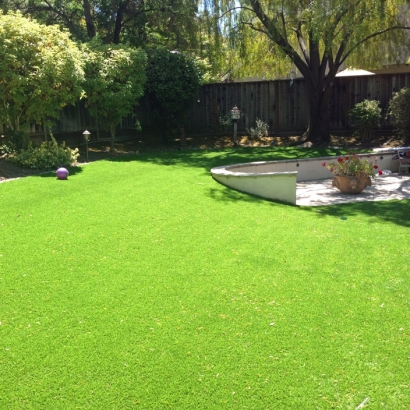 Artificial Turf Cost Alamillo, New Mexico Paver Patio, Beautiful Backyards